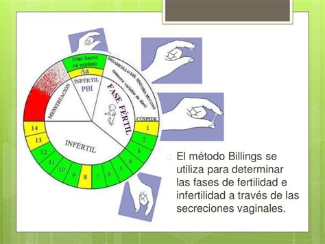 billings desventajas|Métodos anticonceptivos naturales